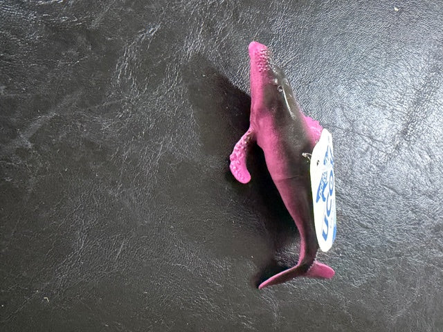 Individual Animals - Sea Animals