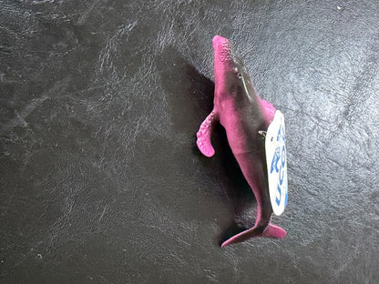 Individual Animals - Sea Animals