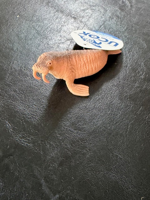 Individual Animals - Sea Animals