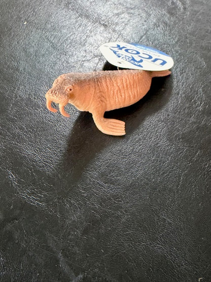 Individual Animals - Sea Animals