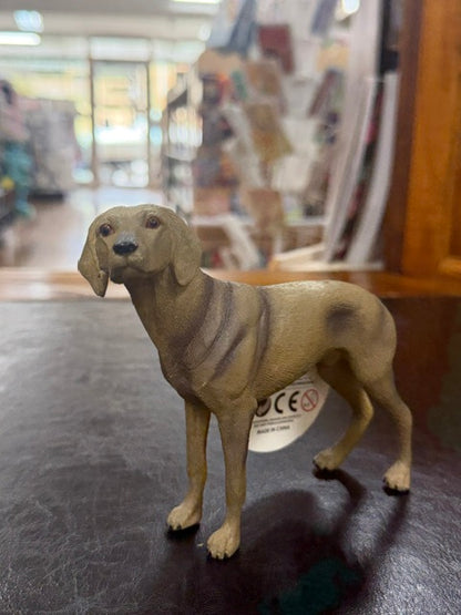 Individual Animals - Dogs