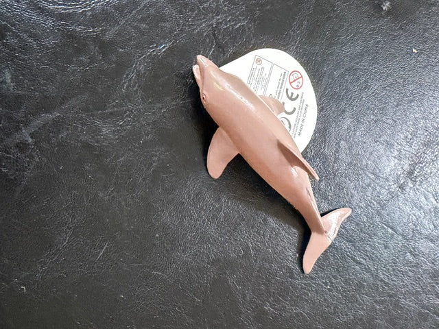 Individual Animals - Sea Animals
