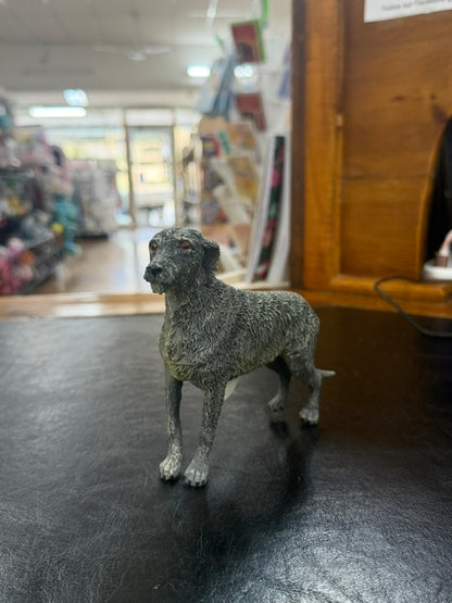 Individual Animals - Dogs