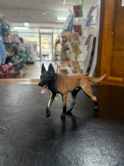 Individual Animals - Dogs
