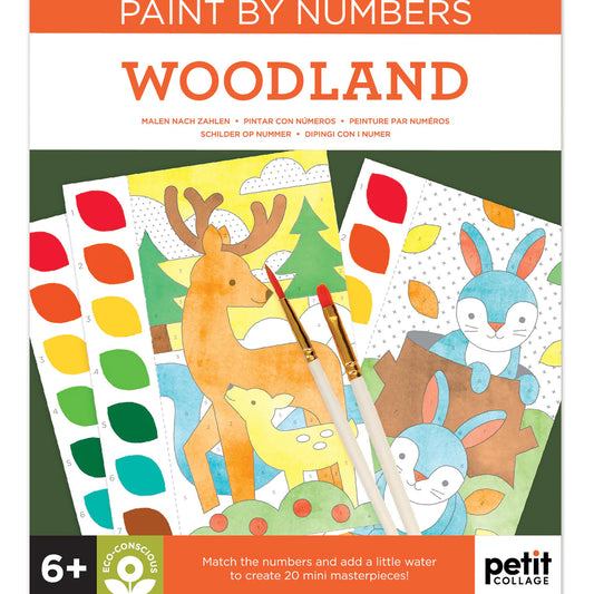 Petit Collage Paint by Numbers - Woodland Multi-Coloured