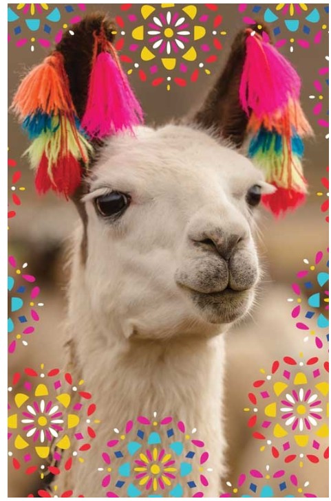 Card- Llama