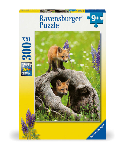 Ravensburger - Curious Foxes 300pc