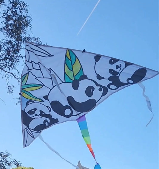 Paint & Fly Kite Kit