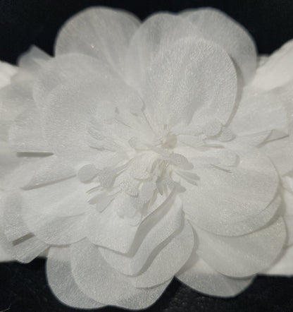 Beautiful Blossom :Baby Socks and Headband Set