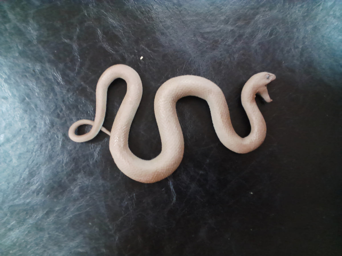 Rubber Snake