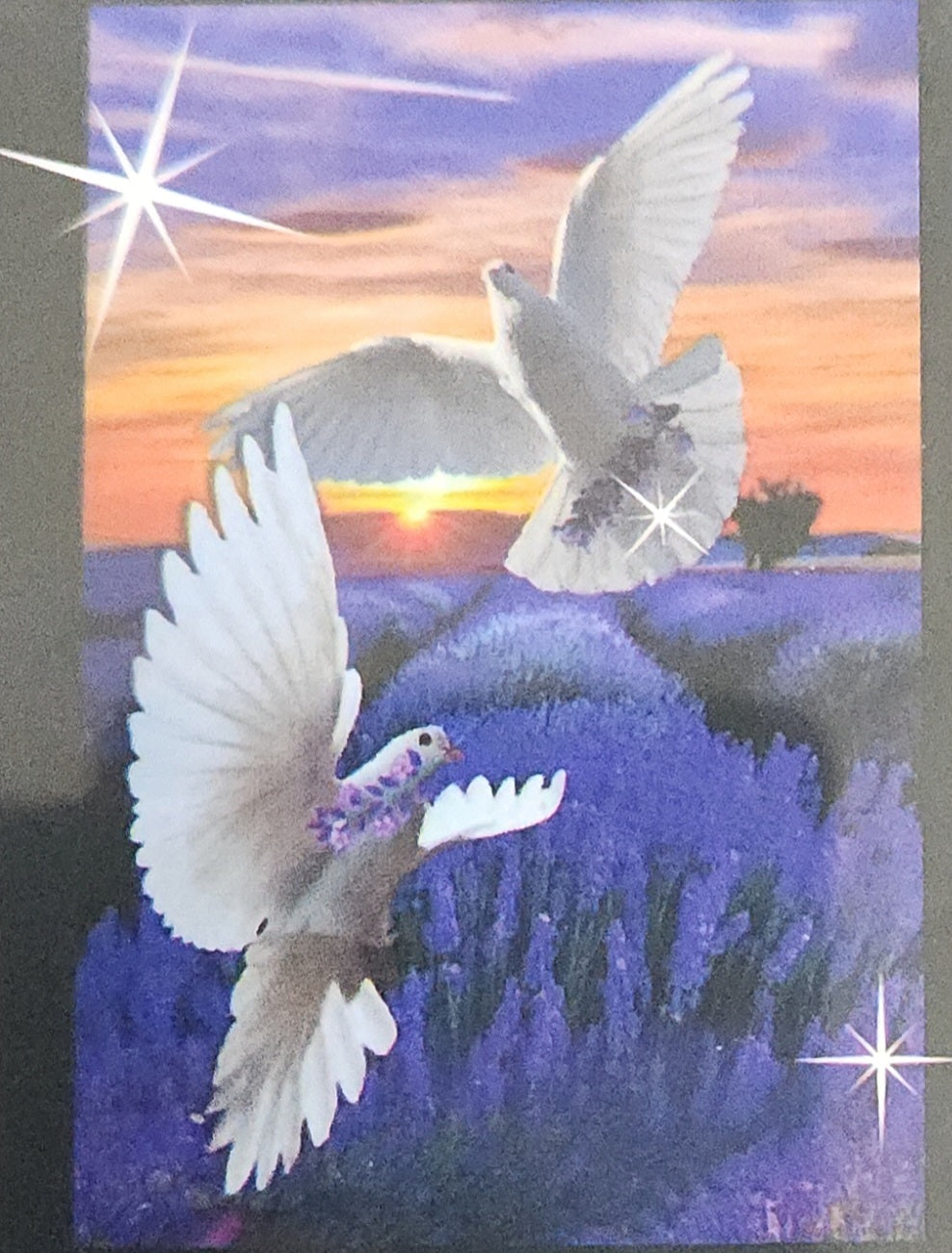Diamond Art Kit 5D (15x20cm) – Doves