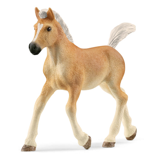 Schleich - Haflinger Foal SC13951