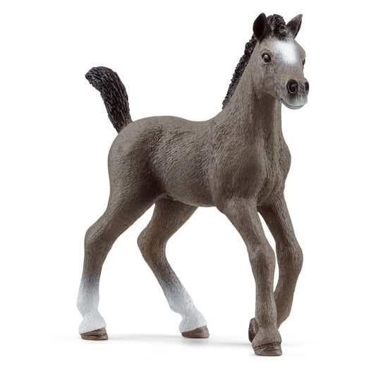 Schleich - Selle Francais Foal SC13957