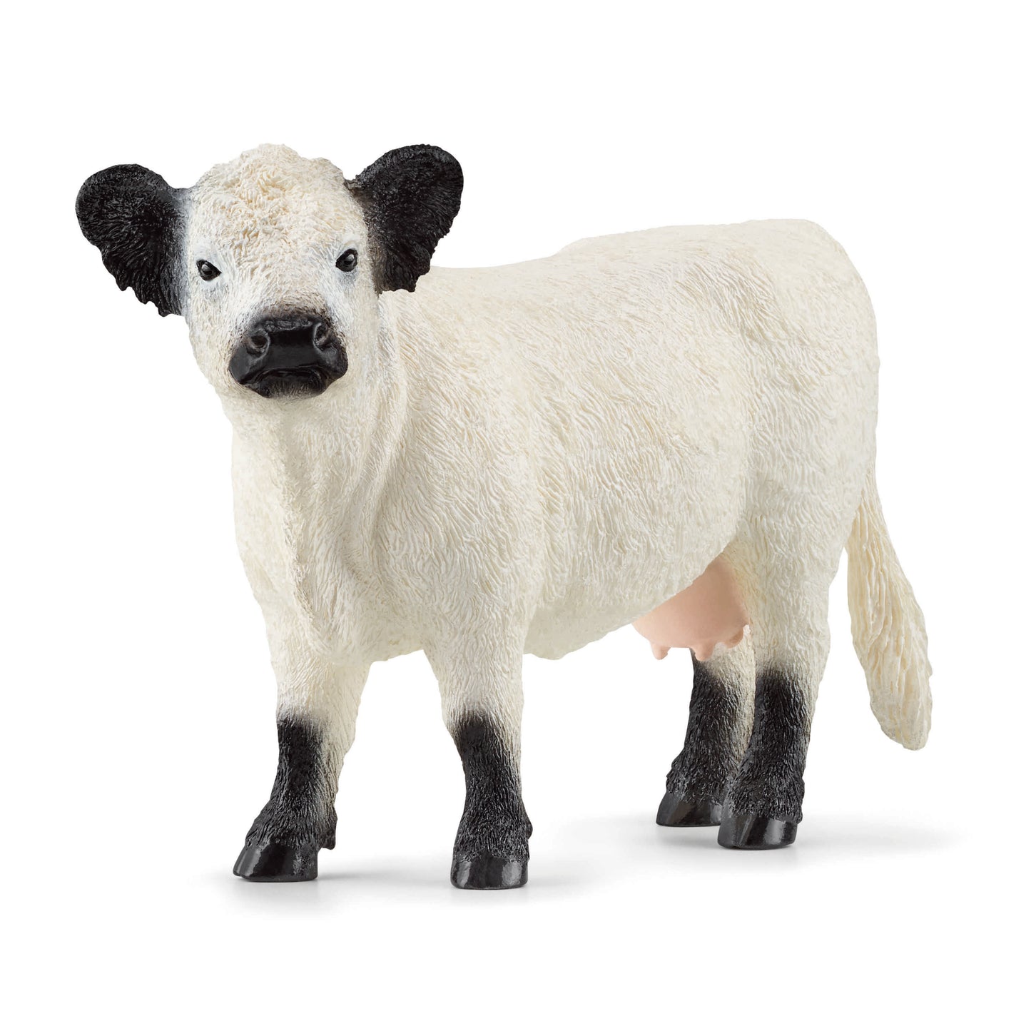 Schleich Galloway Cow SC13960