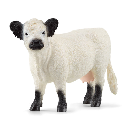 Schleich Galloway Cow SC13960