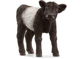 Schleich - Galloway Calf SC13969