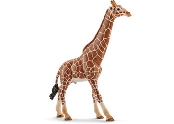 Schleich - Giraffe Male 14749