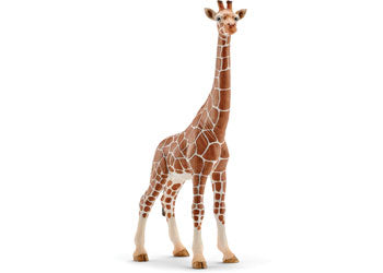 Schleich - Giraffe Female 14750