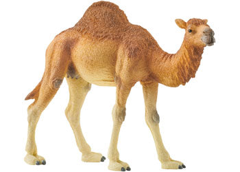 Schleich - Dromedary 14832