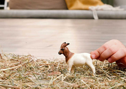 Schleich - Boer Goat