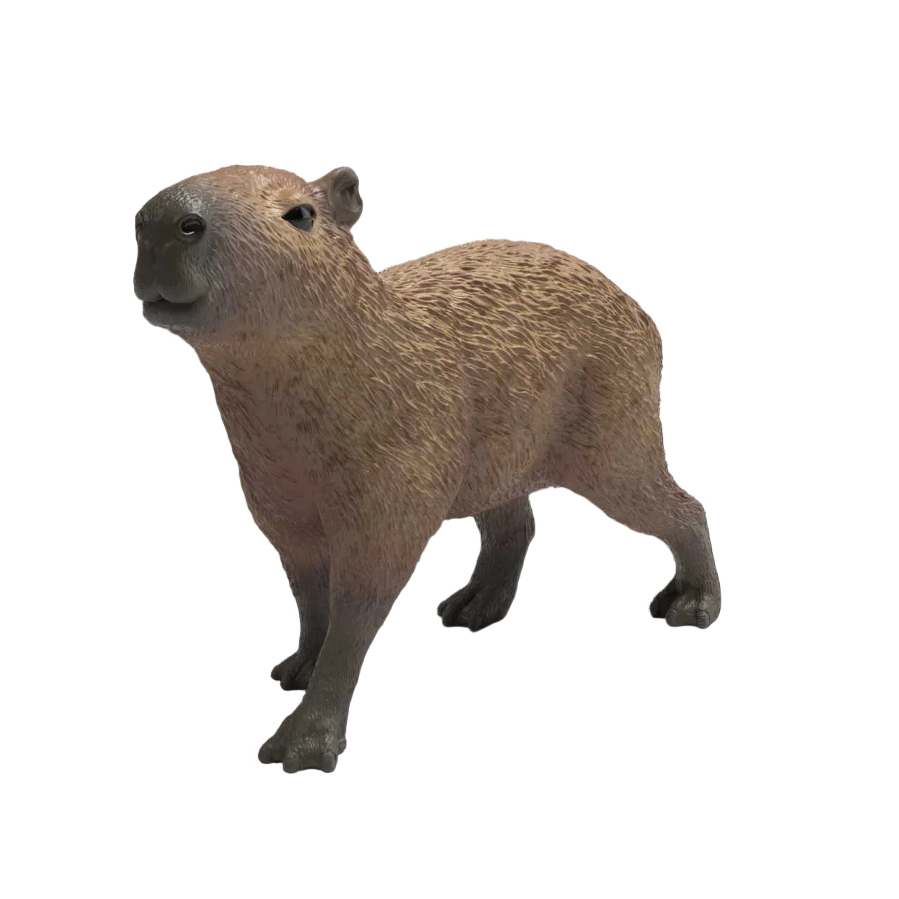 Schleich - Capybara