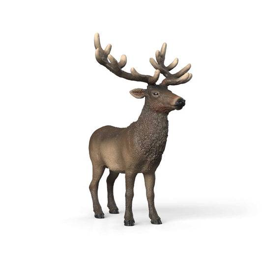 Schleich - Elk 14992