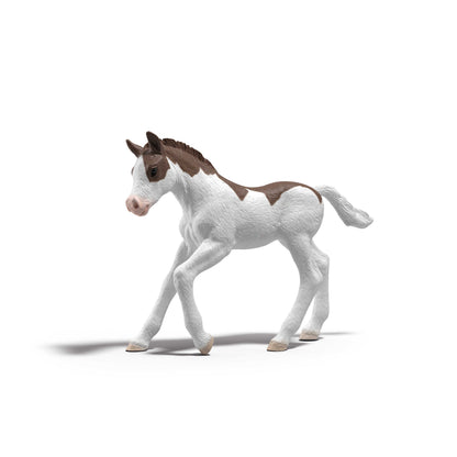 Schleich - Collectible Foal