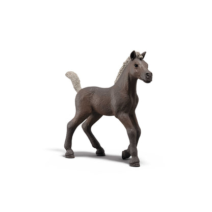 Schleich - Collectible Foal