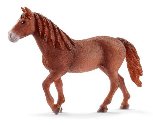 Schleich - Morgan Horse Mare