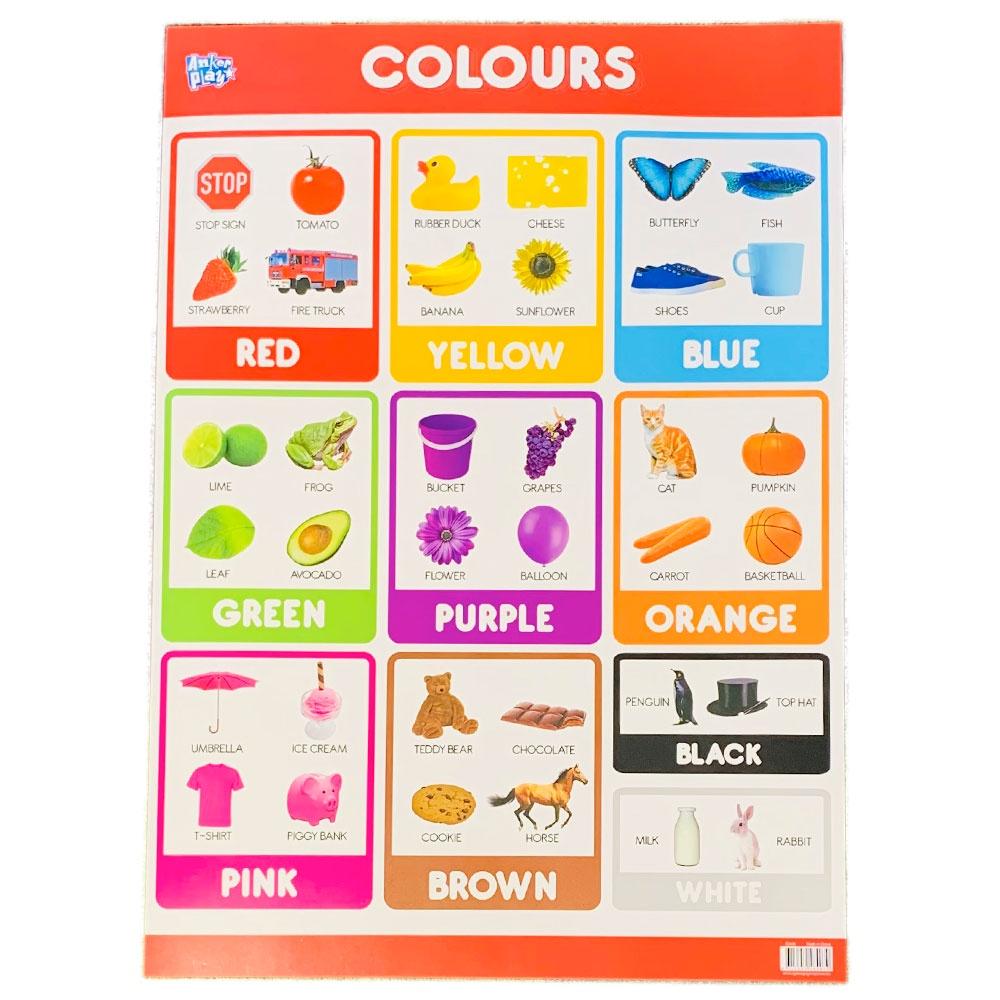 Anker Play - Educational Chart - Double Colours