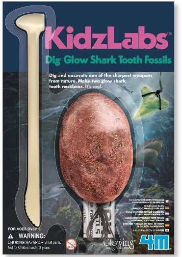 4M - KidzLabs - Glow Shark Tooth Fossil