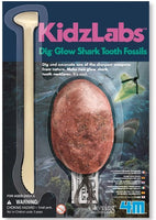 4M- KidzLabs- Glow Shark Tooth Fossil