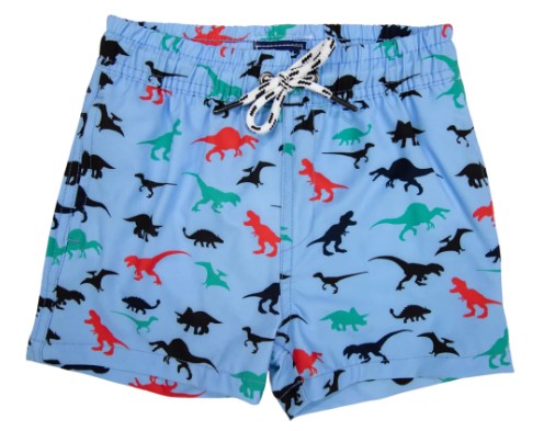 Korango - Dinosaur Print Quick Dry Boardies Airy Blue