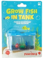 Grow Fish in Tank