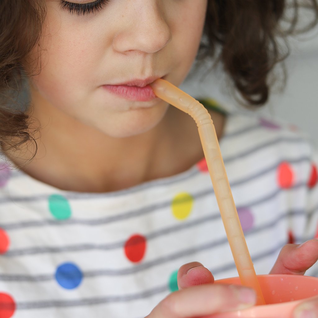 B.Box - Silicone Straw Travel Set