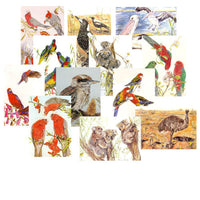 Australian Fauna Cards