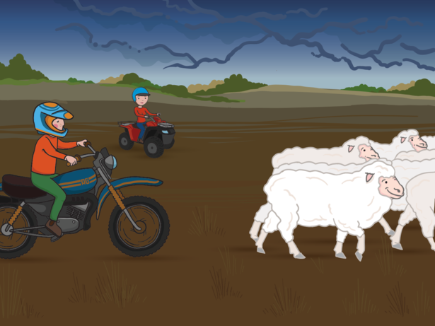 George the Farmer -  Shears a Sheep Book