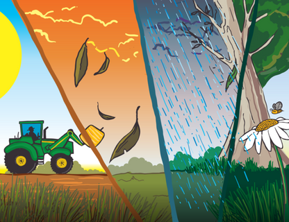 George The Farmer - Plants a Wheat Crop Book